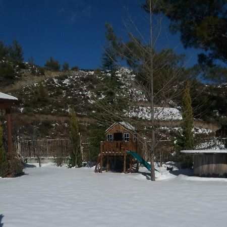 Agros Timber Log House Villa Bagian luar foto