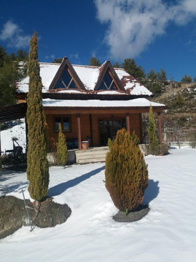 Agros Timber Log House Villa Bagian luar foto