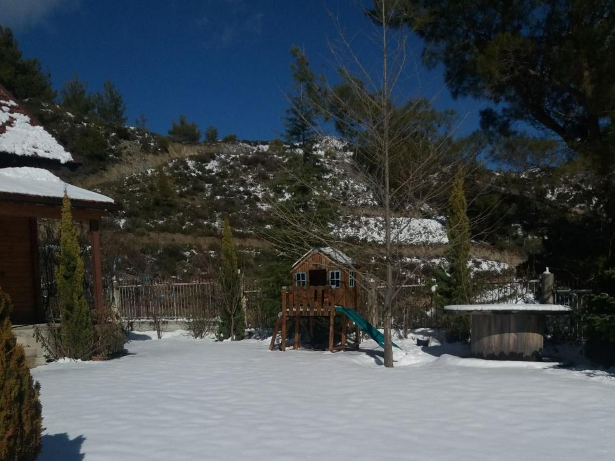 Agros Timber Log House Villa Bagian luar foto