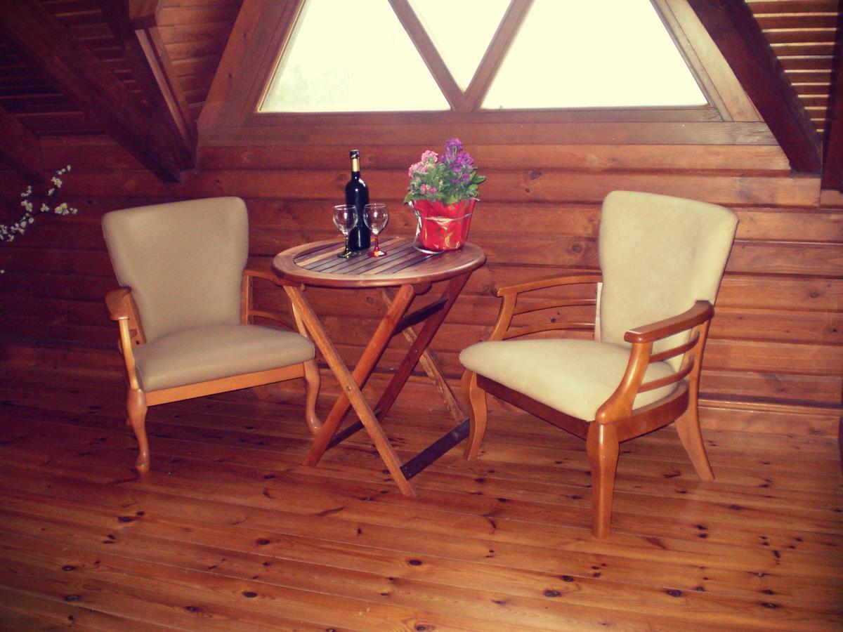Agros Timber Log House Villa Bagian luar foto