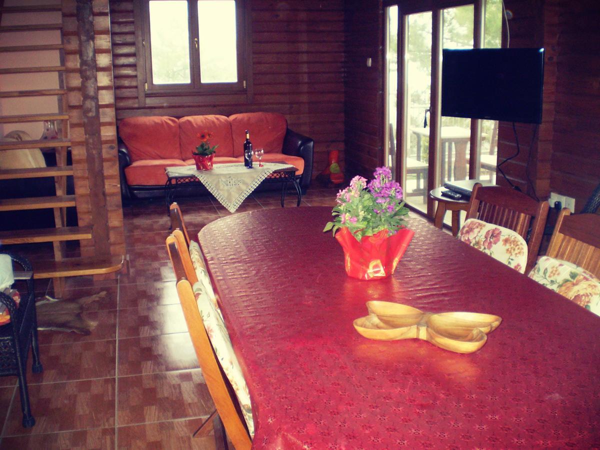 Agros Timber Log House Villa Bagian luar foto