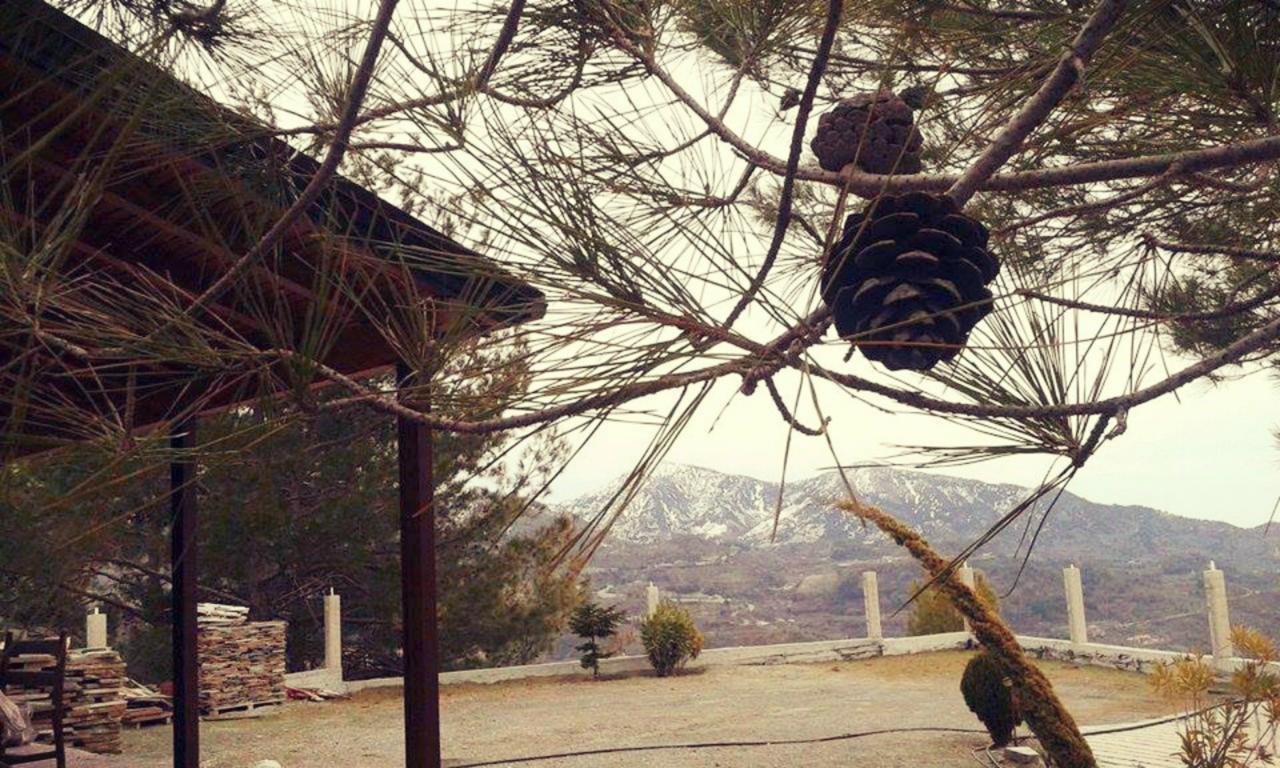 Agros Timber Log House Villa Bagian luar foto