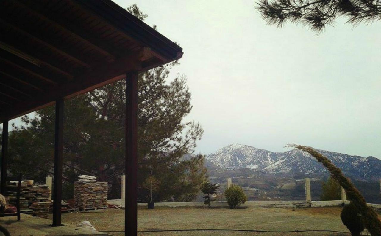 Agros Timber Log House Villa Bagian luar foto