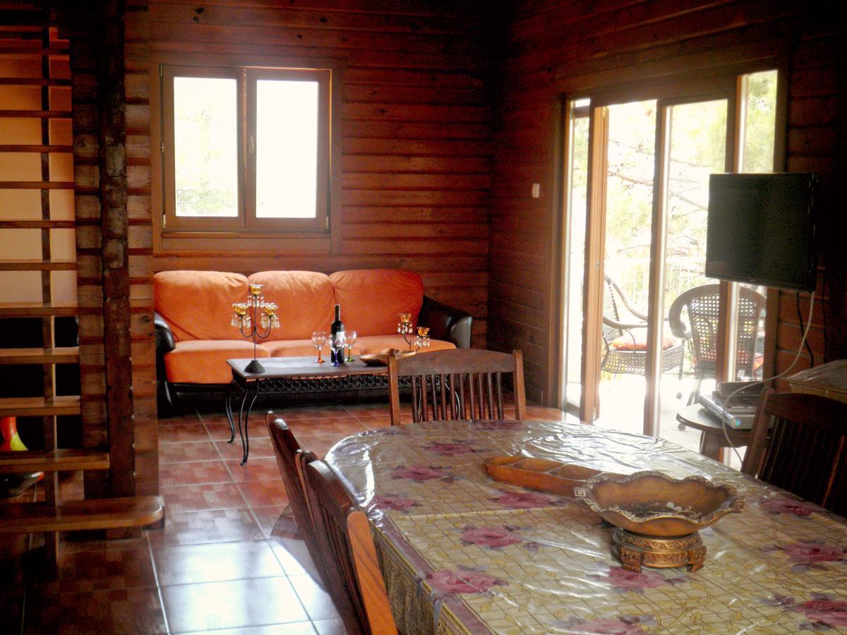Agros Timber Log House Villa Bagian luar foto